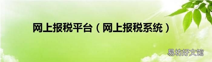 网上报税系统 网上报税平台