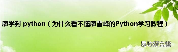 为什么看不懂廖雪峰的Python学习教程 廖学封 python