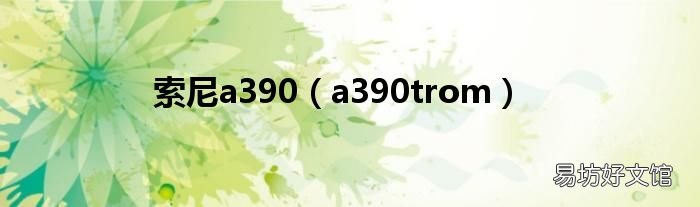 a390trom 索尼a390