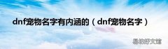 dnf宠物名字 dnf宠物名字有内涵的