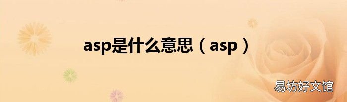 asp asp是什么意思