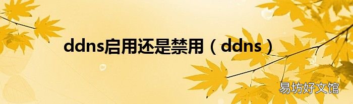 ddns ddns启用还是禁用