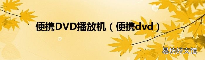 便携dvd 便携DVD播放机