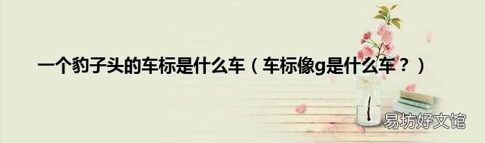 车标像g是什么车？ 一个豹子头的车标是什么车