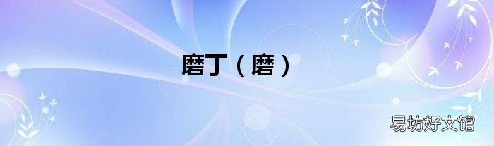 磨 磨丁