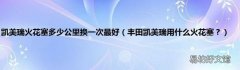 丰田凯美瑞用什么火花塞？ 凯美瑞火花塞多少公里换一次最好