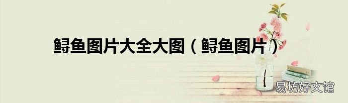 鲟鱼图片 鲟鱼图片大全大图