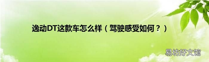 驾驶感受如何? 逸动DT这款车怎么样
