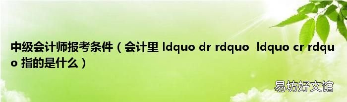 会计里 ldquo dr rdquoldquo cr rdquo 指的是什么 中级会计师报考条件