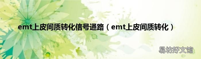 emt上皮间质转化 emt上皮间质转化信号通路