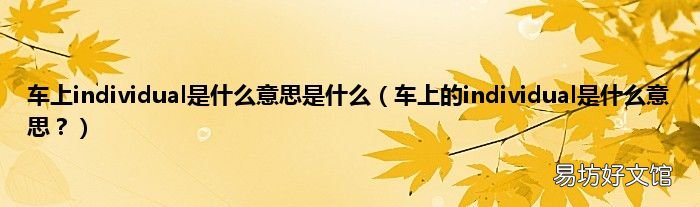 车上的individual是什么意思？ 车上individual是什么意思是什么