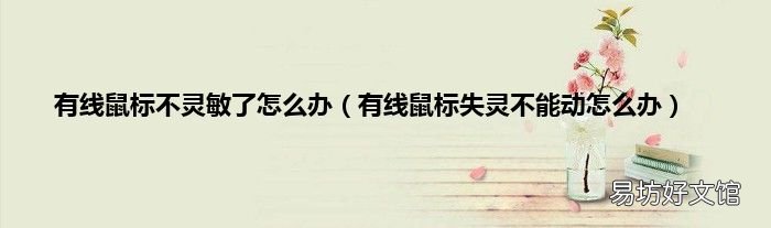 有线鼠标失灵不能动怎么办 有线鼠标不灵敏了怎么办