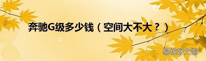 空间大不大? 奔驰G级多少钱