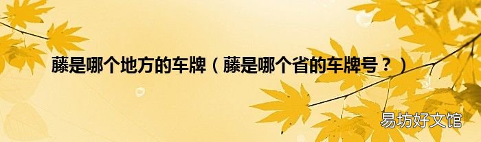 藤是哪个省的车牌号？ 藤是哪个地方的车牌