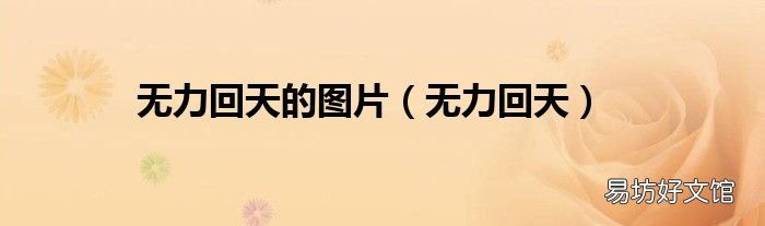 无力回天 无力回天的图片