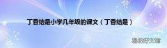 丁香结是 丁香结是小学几年级的课文