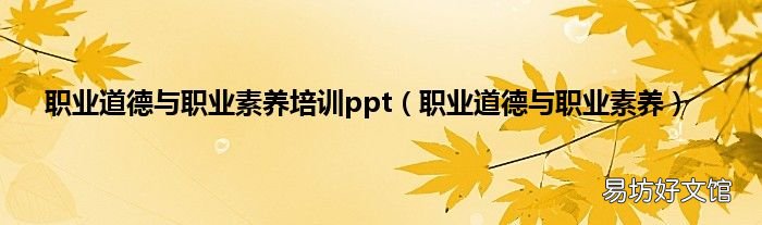 职业道德与职业素养 职业道德与职业素养培训ppt