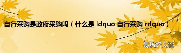 什么是 ldquo 自行采购 rdquo 自行采购是政府采购吗