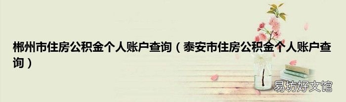 泰安市住房公积金个人账户查询 郴州市住房公积金个人账户查询