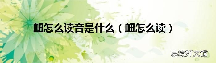 衄怎么读 衄怎么读音是什么