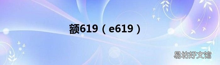 e619 额619