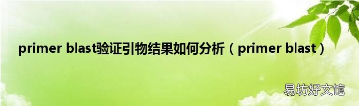 primer blast primer blast验证引物结果如何分析