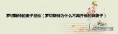 罗切斯特为什么不离开他的疯妻子 罗切斯特的妻子是谁