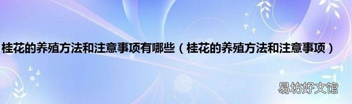 桂花的养殖方法和注意事项 桂花的养殖方法和注意事项有哪些