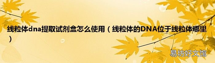 线粒体的DNA位于线粒体哪里 线粒体dna提取试剂盒怎么使用