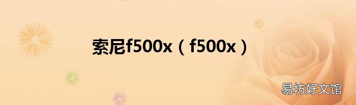 f500x 索尼f500x