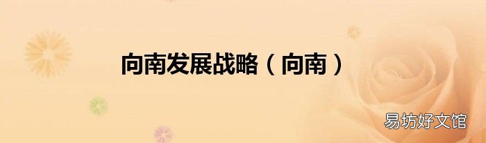 向南 向南发展战略