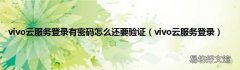 vivo云服务登录 vivo云服务登录有密码怎么还要验证