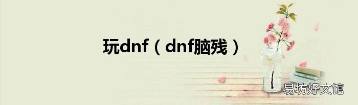 dnf脑残 玩dnf