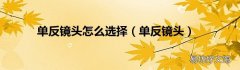 单反镜头 单反镜头怎么选择