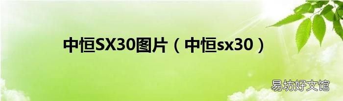 中恒sx30 中恒SX30圖片