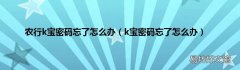 k宝密码忘了怎么办 农行k宝密码忘了怎么办