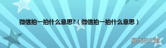 微信拍一拍什么意思 微信拍一拍什么意思?