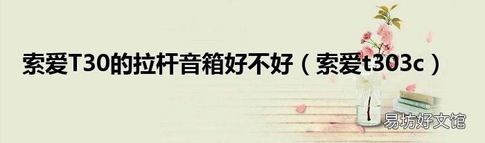 索爱t303c 索爱T30的拉杆音箱好不好