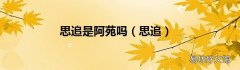思追 思追是阿苑吗