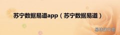 苏宁数据易道 苏宁数据易道app