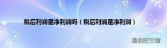 税后利润是净利润 税后利润是净利润吗