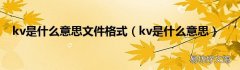 kv是什么意思 kv是什么意思文件格式