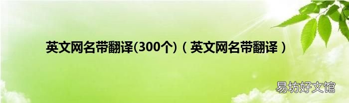 300个 英文网名带翻译 英文网名带翻译