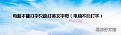 电脑不能打字 电脑不能打字只能打英文字母
