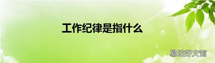 工作纪律是指什么