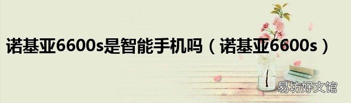 诺基亚6600s 诺基亚6600s是智能手机吗