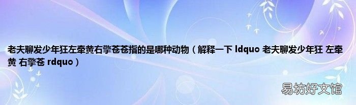 解释一下 ldquo 老夫聊发少年狂 左牵黄 右擎苍 rdquo 老夫聊发少年狂左牵黄右擎苍苍指的是哪种动物