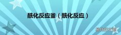 酰化反应 酰化反应釜