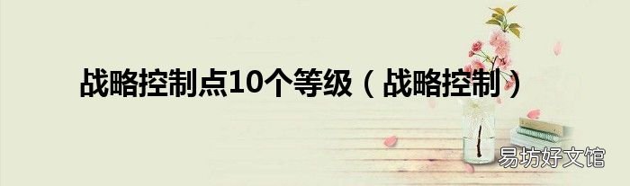 战略控制 战略控制点10个等级