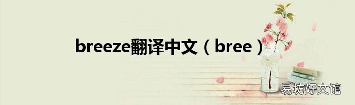 bree breeze翻译中文